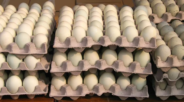 Eggs for Sale — Stock Photo, Image