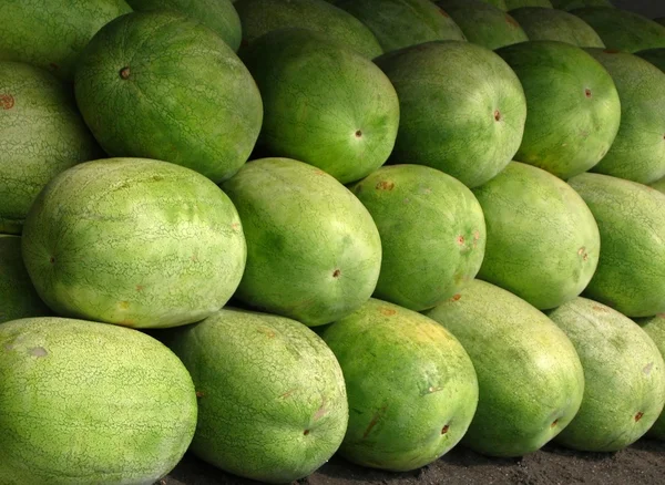 Grote zware watermeloenen — Stockfoto
