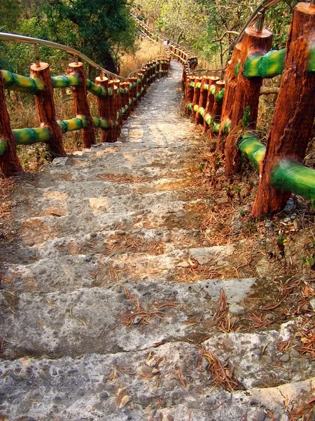 Stromo — Zdjęcie stockowe
