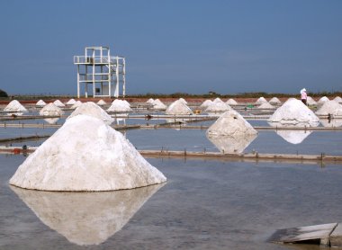 Sea Salt Production clipart