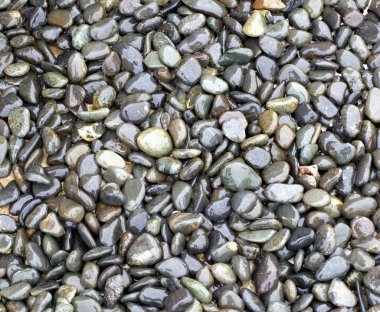 Shiny Wet Pebbles clipart