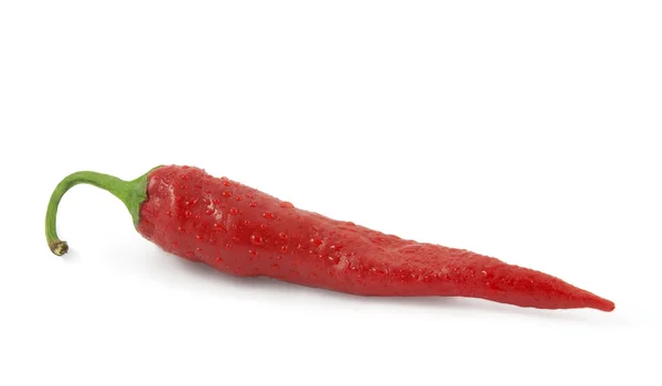 Red hot chili peppar i droppar vatten — Stockfoto