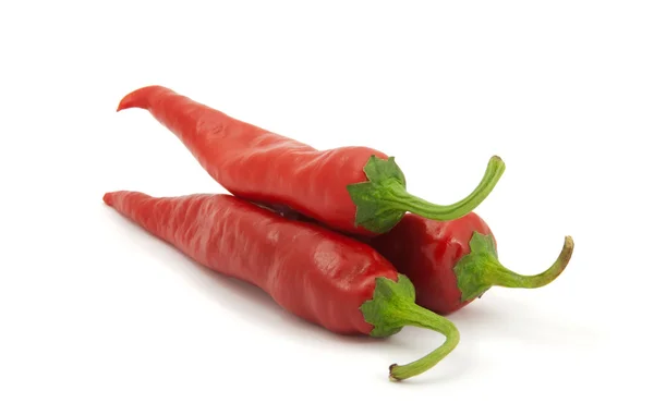 Red hot chili peper in druppels water — Stockfoto