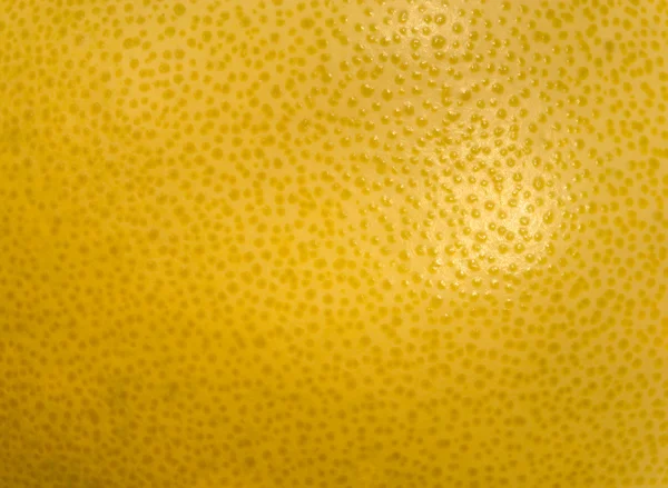 stock image Citrus skin background