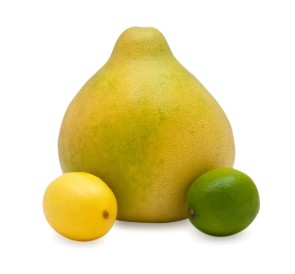 Зрізати фрукти помело, лимона і лайма — стокове фото