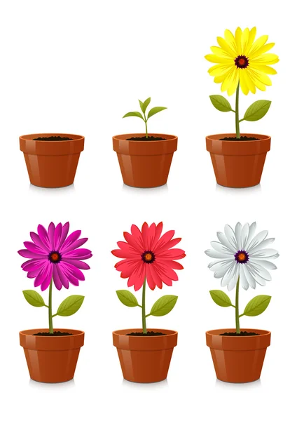 stock vector Flower Pot