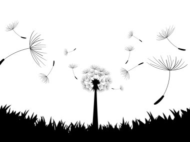 Blow Dandelion. Directly below. Vector clipart