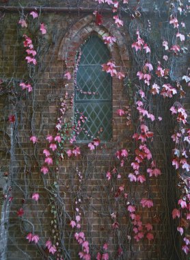 Vines on church wall clipart