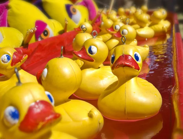 stock image Lots of rubber ducks