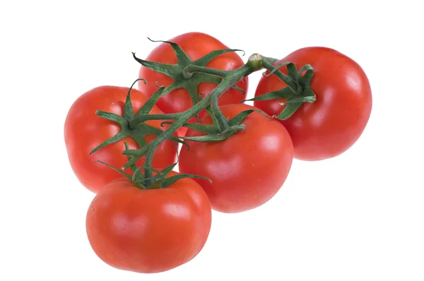 신선한 육즙 토마토 — 스톡 사진