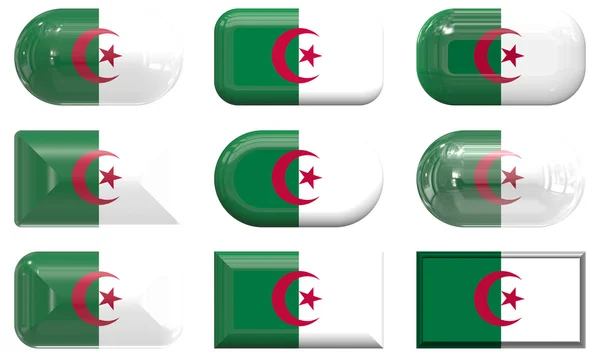 Nine glass buttons of the Flag of algeri — Stock Photo, Image