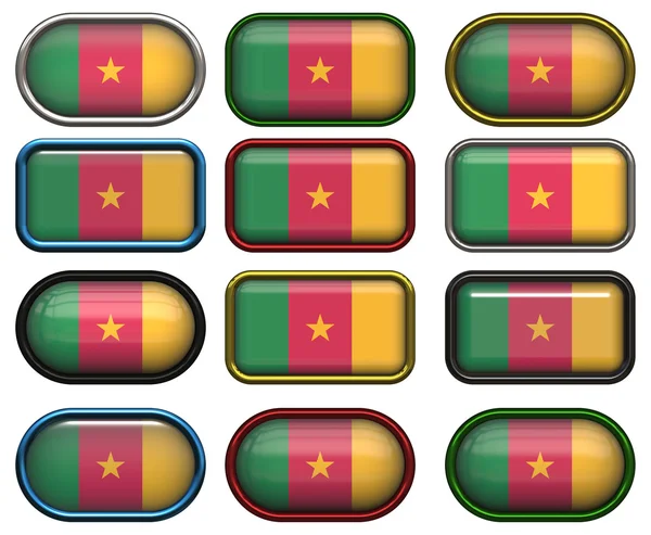 Dvanáct tlačítka vlajka Kamerunu — Stock fotografie