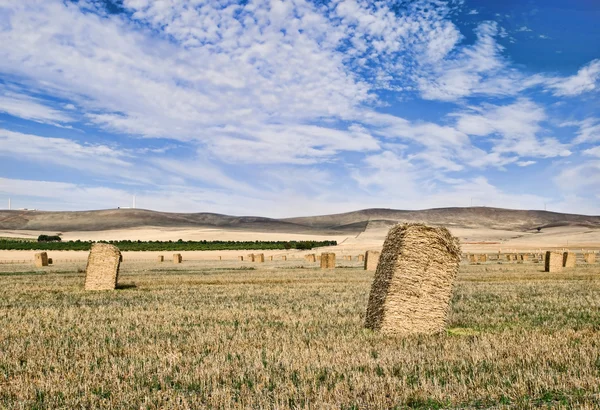 Haystacks paysage rural — Photo