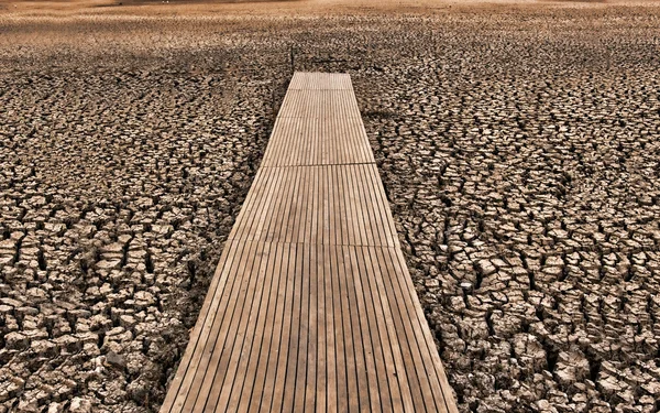 Dry cracked lake bed — Stock Photo, Image