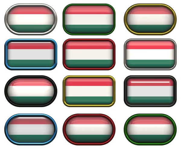 12 buttons of the Flag of hungary — Stock Photo, Image