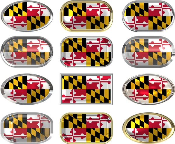 12 boutons du drapeau du Maryland — Photo