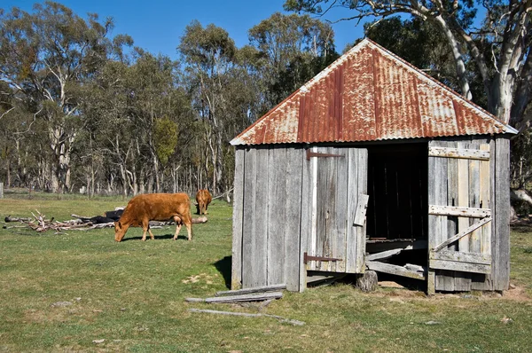 Starej farmie — Zdjęcie stockowe