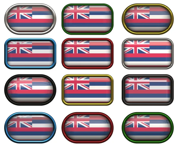 12 tlačítek vlajky hawaii — Stock fotografie