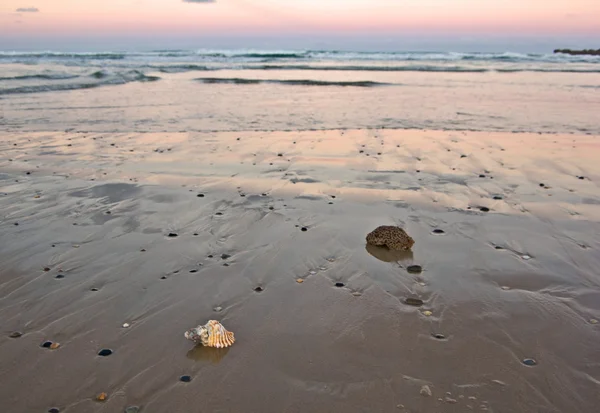 Plaża o zachodzie słońca — Zdjęcie stockowe