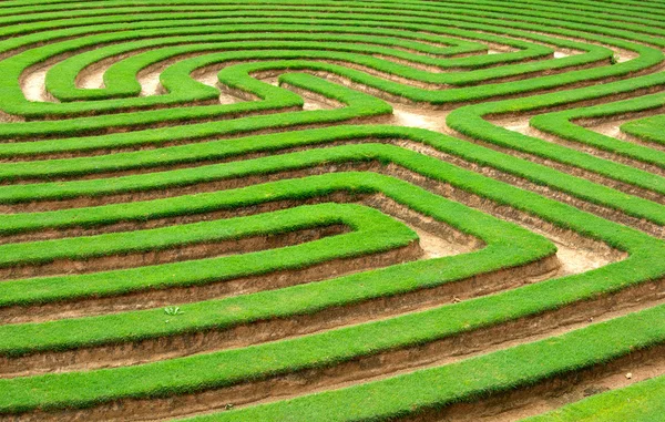 Grass maze — Stock Photo, Image