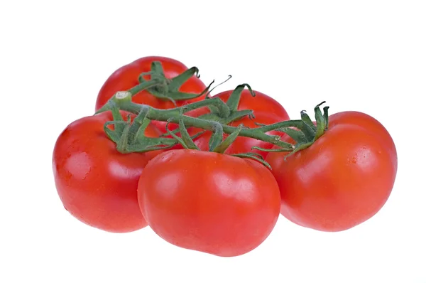 Fresh tomatoes Stock Picture