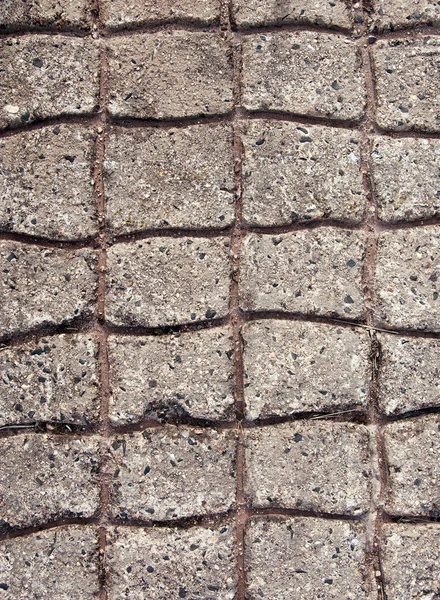 舗装のコンクリート — ストック写真