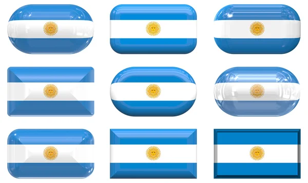 Devět skla tlačítka vlajky argent — Stock fotografie