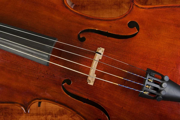 Violoncell eller violin — Stockfoto