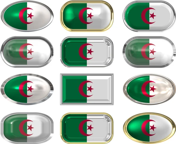 Doce botones de la Bandera de algeria —  Fotos de Stock