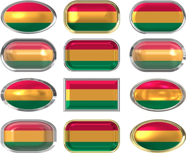 Dvanáct tlačítka vlajky Bolívie — Stock fotografie