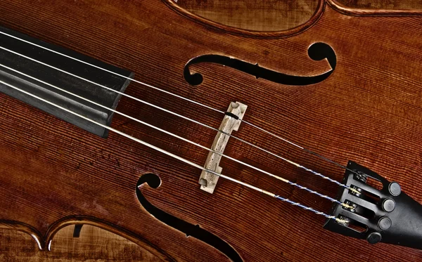 Cello or violin — Stock Photo, Image