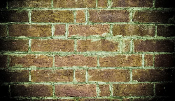 Velho tijolo parede fundo textura — Fotografia de Stock