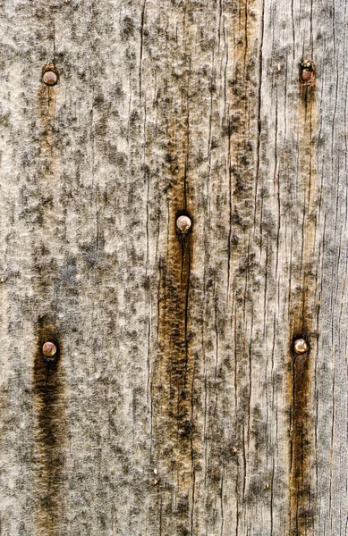 Vecchio legno grungy sfondo texture — Foto Stock