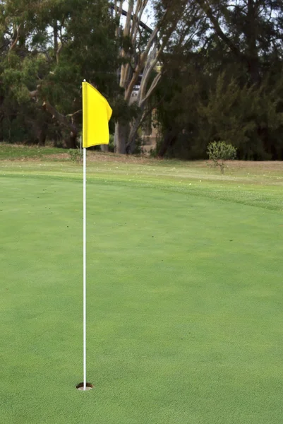 Golf hole with yellow flag — Zdjęcie stockowe