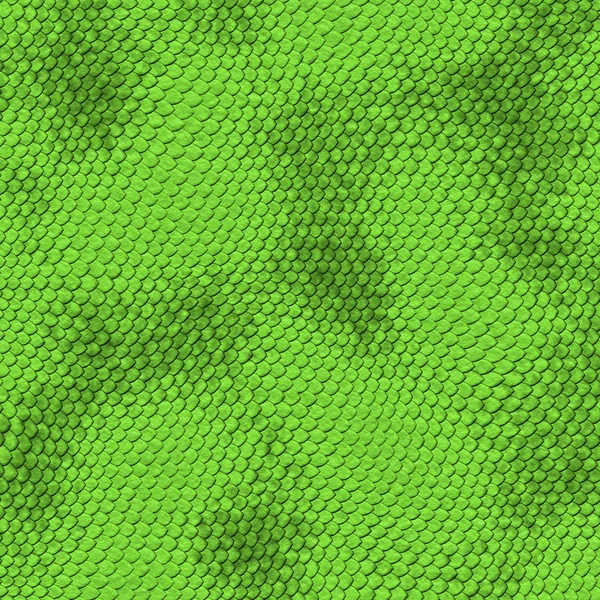 Pelle di serpente verde — Foto Stock