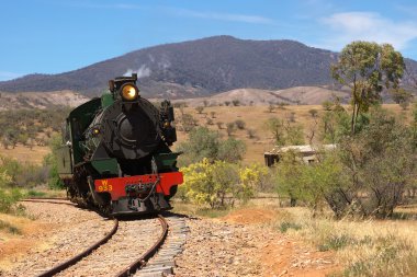 The pichi richi steam train near port au clipart