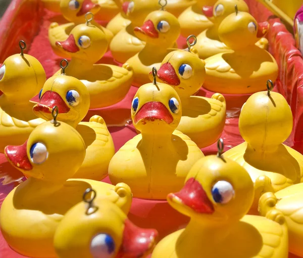 stock image Lots of rubber ducks