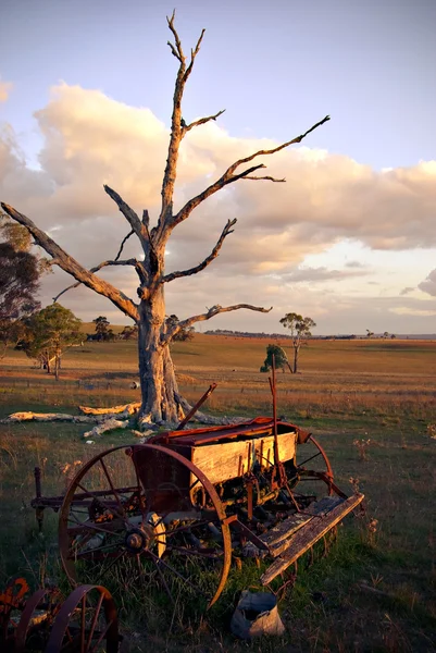 Old plough on farm at sunset — Stock Photo, Image