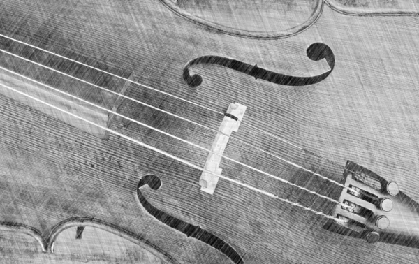 Cello oder Geige — Stockfoto