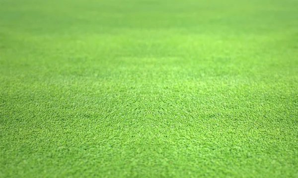 Golf yeşil — Stok fotoğraf
