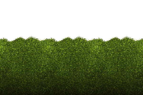 Hedge. — Fotografia de Stock