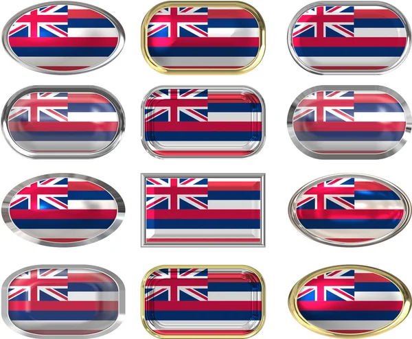 12 przycisków Flaga stanowa Hawajów — Zdjęcie stockowe