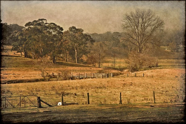 Старая ферма — стоковое фото