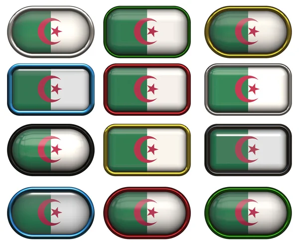 Doce botones de la Bandera de algeria — Foto de Stock