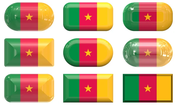 Buttons of the Flag of Cameroon — Stock Photo, Image
