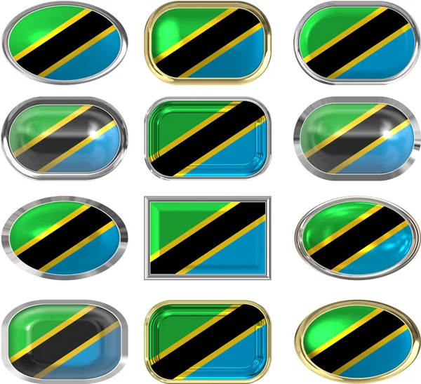 Dvanáct tlačítka vlajka Tanzanie — Stock fotografie
