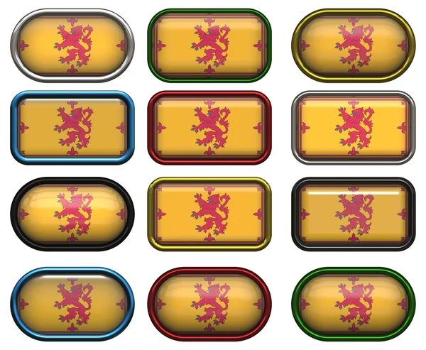 12 buttons of the Flag of Scotland — Stock Photo, Image