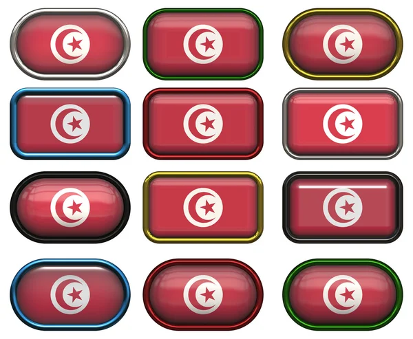 12 buttons of the Flag of Tunisia — Stock Photo, Image