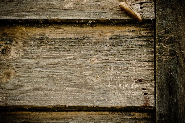 Oude grungy hout achtergrond textuur — Stockfoto