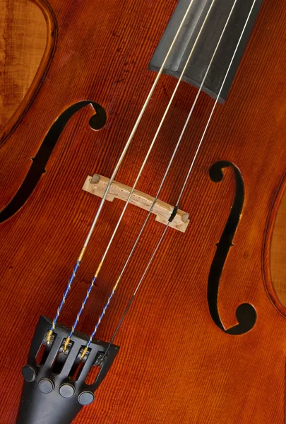 Τσέλο ή βιολί — Φωτογραφία Αρχείου